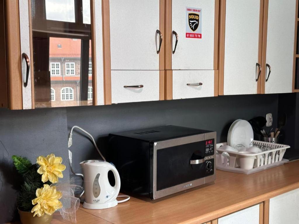 Ionia Apartment-Stary Rynek 波兹南 外观 照片